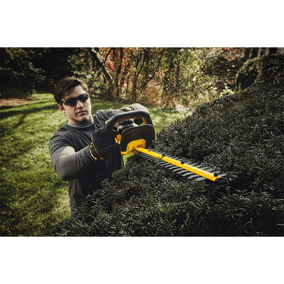 Amazon DEWALT 20V MAX Cordless Hedge Trimmer 5 0 Ah 22 Inch DCHT820P1 Patio Lawn Garden