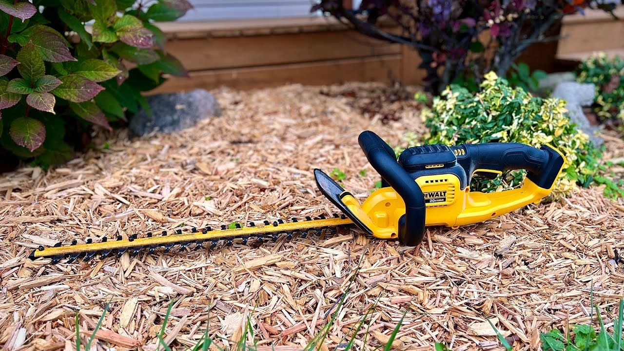 20v hedge trimmer dewalt