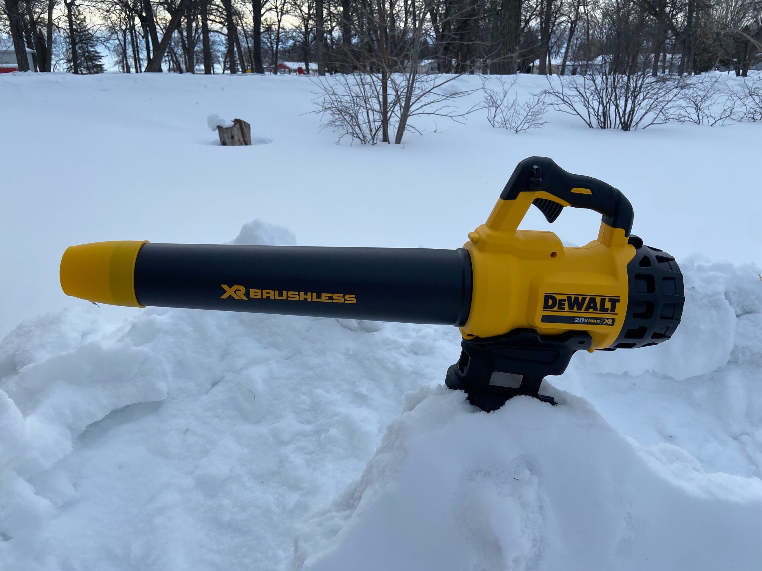 dewalt cordless leaf blowers
