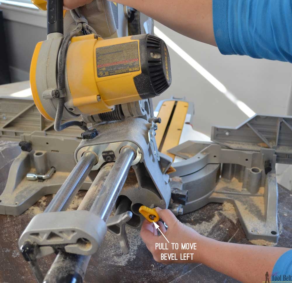 DeWALT DWS780 12