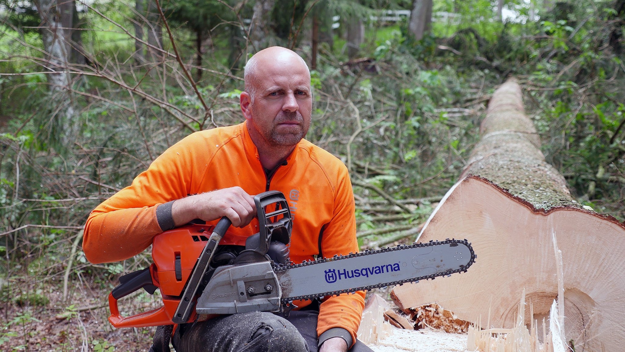 First Review Of The New Husqvarna 572XP NordicWoodJournal