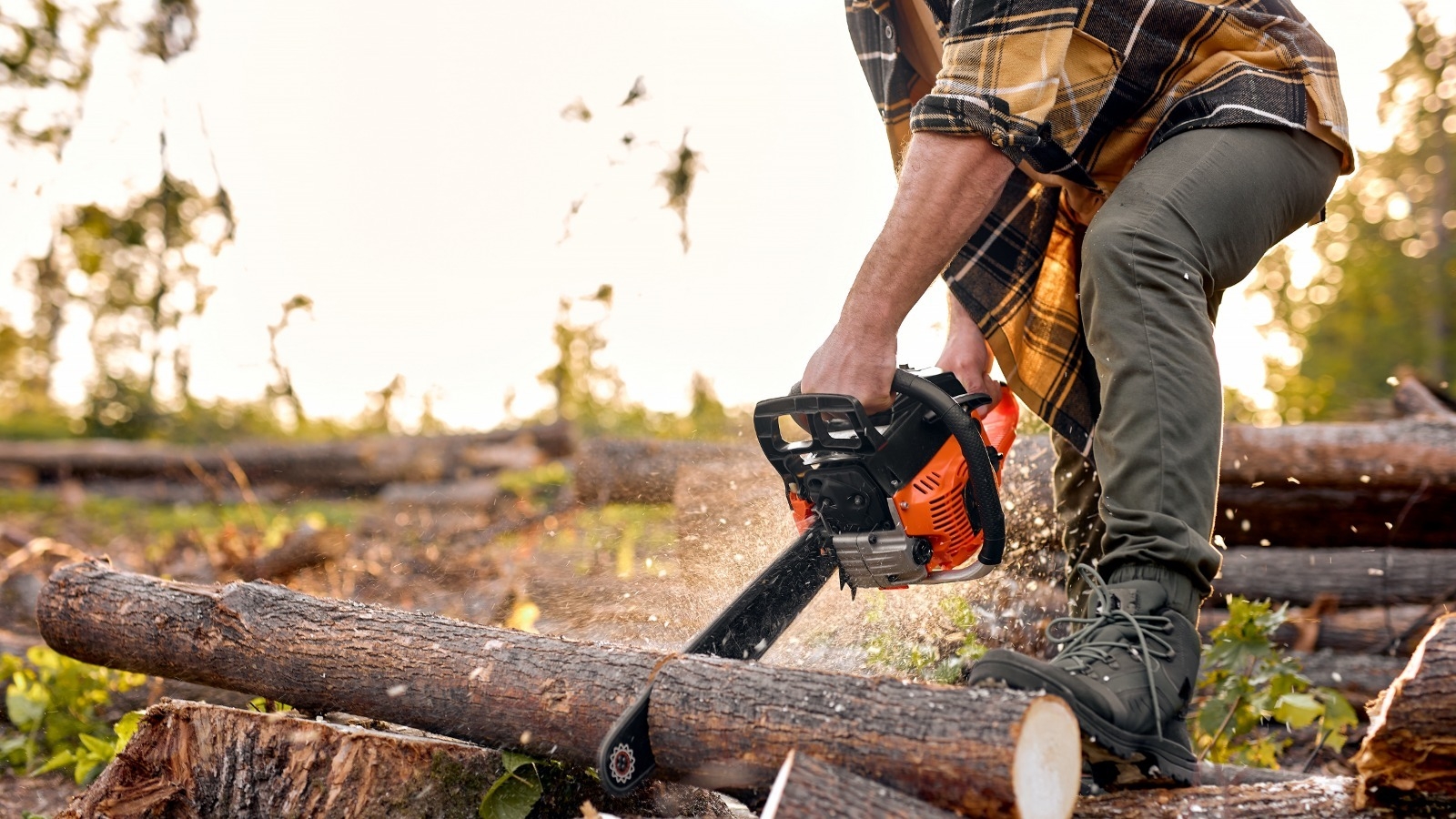 Harbor Freight Vs Home Depot Which Offers The Better Value For Chainsaws 