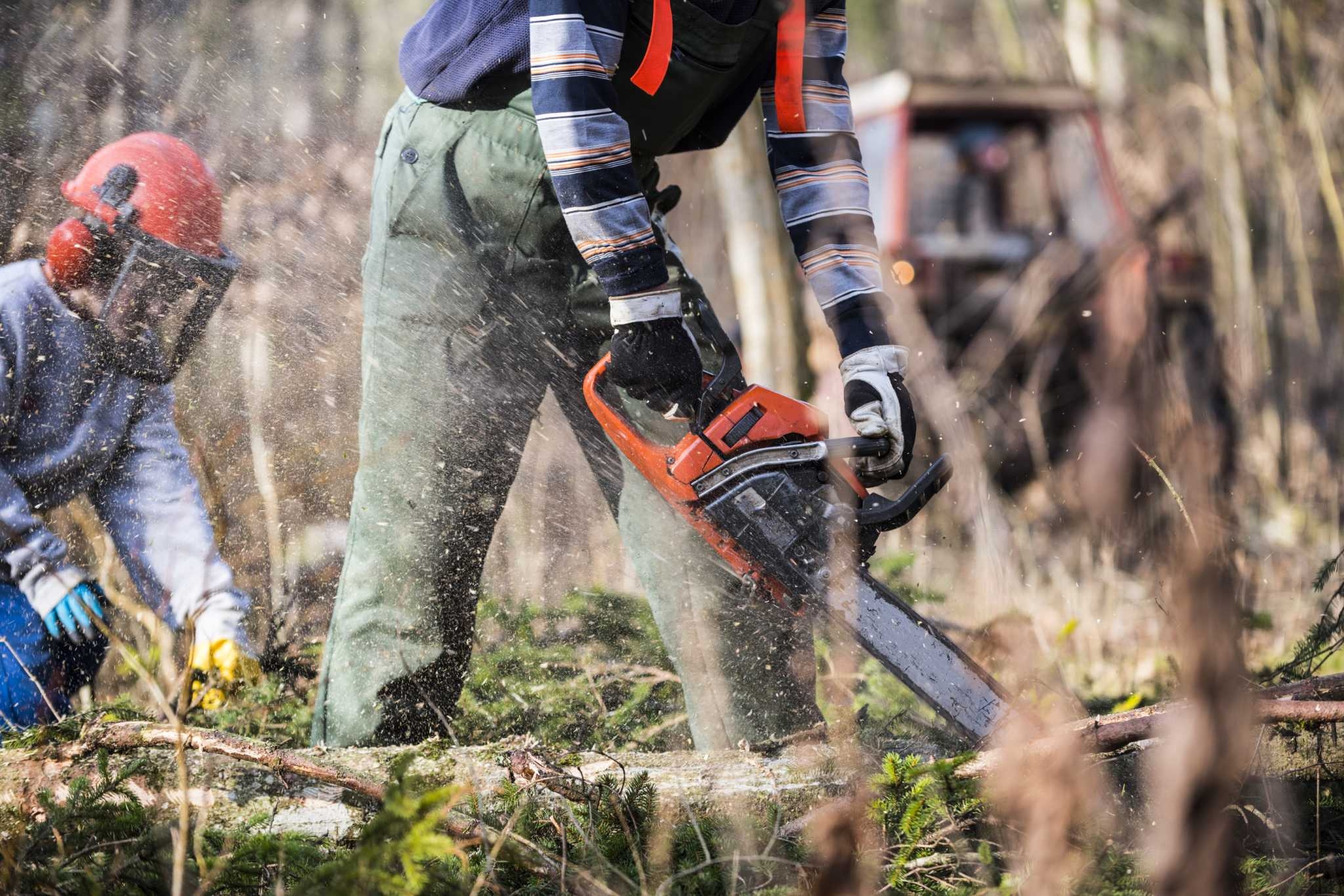 How To Completely Clean A Husqvarna Chainsaw