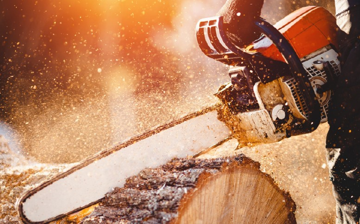 How To Properly Clean Your Chainsaw Chain For Improved Performance