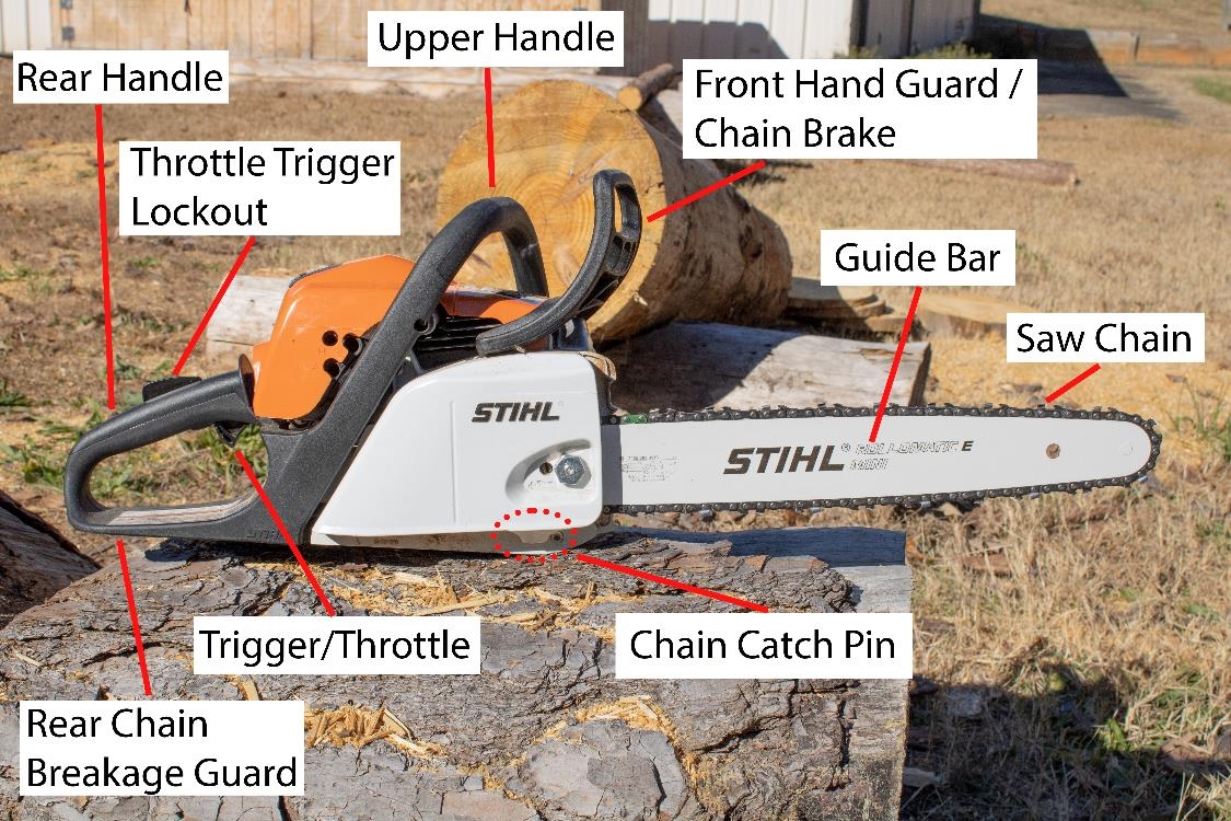 How To Stay Safe Around Chainsaws Land Grant Press