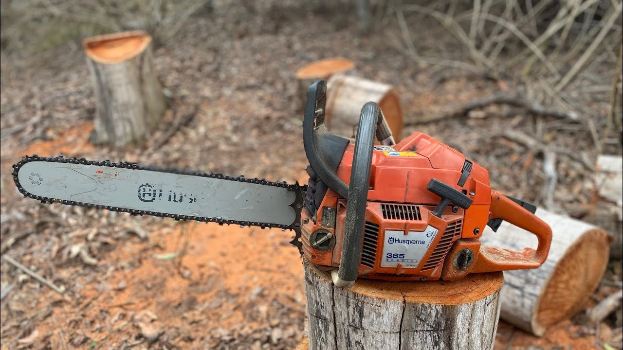 Husqvarna 365 Special In Australian HardWood YouTube