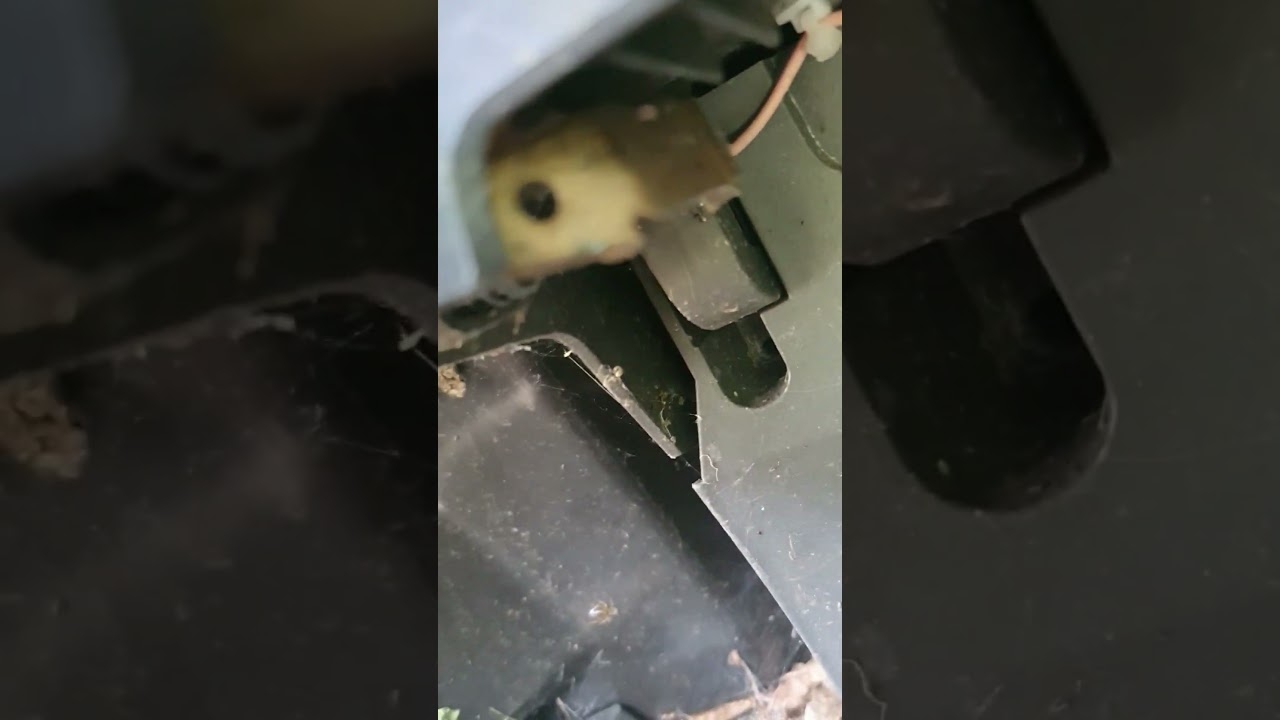 Husqvarna Automower L dt Nicht Problem Ladesystem Ladekontakte Polieren Kabelanschluss Reparieren YouTube