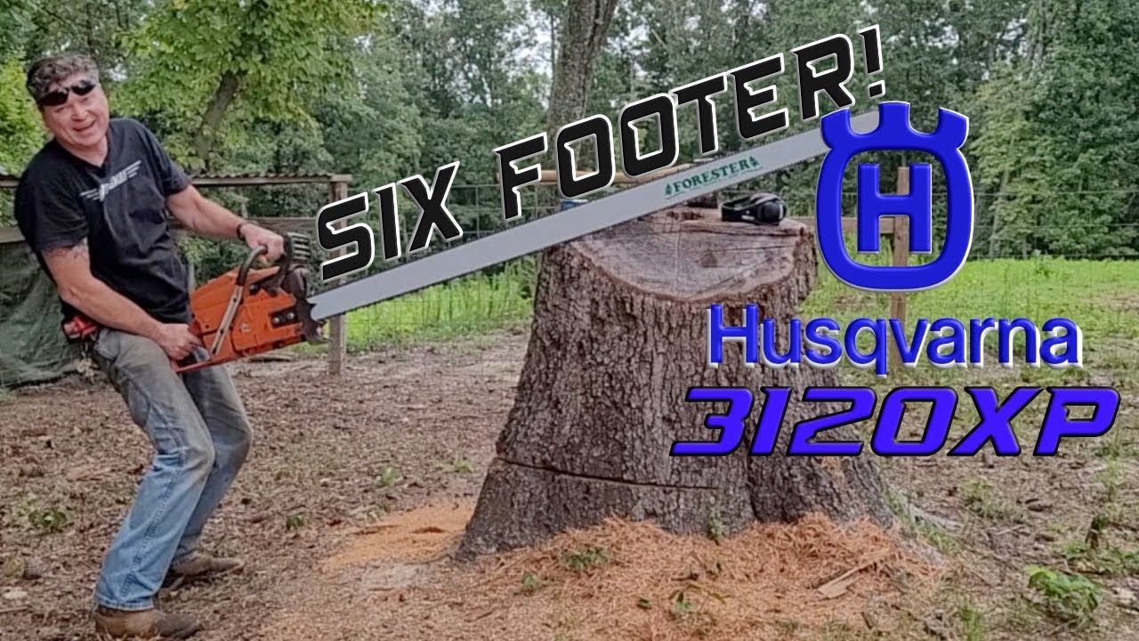 Stump Cutting With A 3120XP And 6 Foot Bar YouTube