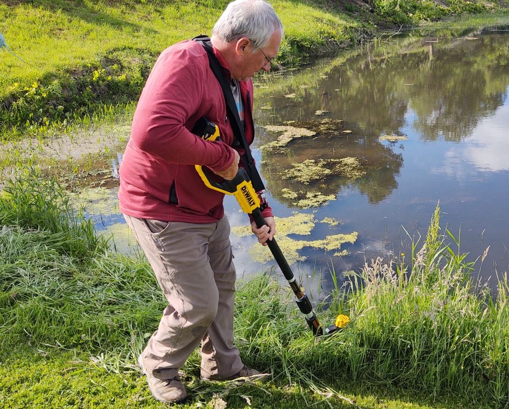 The 20v Max DeWalt Pole Hedge Trimmer It s All Within Reach Home Fixated