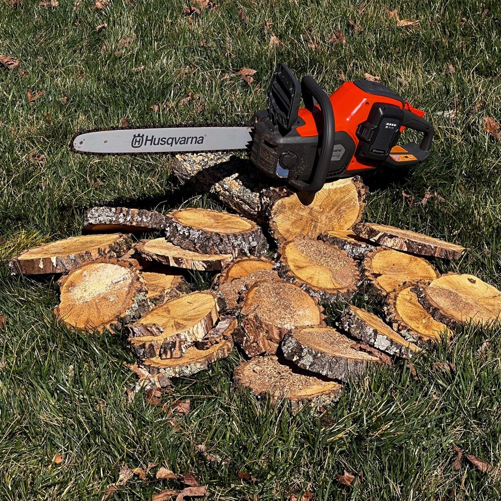 The 6 Best Chainsaws Of 2025 According To A Power Tool Expert